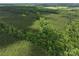Scenic aerial view of heavily wooded land with diverse tree species, offering privacy and seclusion at 4815 Nc 109 Hwy, Wadesboro, NC 28170