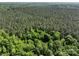 Overhead view capturing a mix of vibrant green and darker forests, showcasing the area's rich natural beauty at 4815 Nc 109 Hwy, Wadesboro, NC 28170