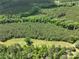 An aerial view of wooded acreage with a clear area; perfect for building your dream home in a private setting at 4815 Nc 109 Hwy, Wadesboro, NC 28170