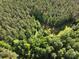 Aerial shot of dense woodlands with a small grassy patch, perfect for nature enthusiasts at 4815 Nc 109 Hwy, Wadesboro, NC 28170