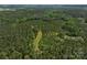 An aerial view highlights the land's potential, featuring dense woods and a cleared path for exploration at 4815 Nc 109 Hwy, Wadesboro, NC 28170