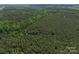 A high aerial shot over densely wooded property, showing varying green hues and offering a peaceful retreat at 4815 Nc 109 Hwy, Wadesboro, NC 28170