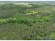 Bird's-eye view of green forests, including a pond at 4815 Nc 109 Hwy, Wadesboro, NC 28170