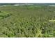 An aerial view shows acres of densely wooded property, perfect for privacy and outdoor enjoyment at 4815 Nc 109 Hwy, Wadesboro, NC 28170
