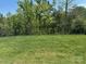 Spacious backyard with a lush green lawn, bordered by a black metal fence and mature trees at 574 Altamonte Dr, Clover, SC 29710