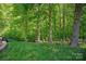 Lush backyard with a well-manicured lawn and a treeline perfect for nature lovers at 938 Rock Forest Way, Fort Mill, SC 29707