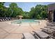 Community pool featuring lounge chairs and a mushroom water feature surrounded by lush greenery at 938 Rock Forest Way, Fort Mill, SC 29707