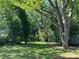 Shady backyard, full of trees and green grass at 2433 Booker Ave, Charlotte, NC 28216