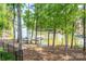Lush backyard featuring lake views, a black metal fence, and a private boat dock at 3992 Blue Dory Ln, Denver, NC 28037