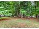 Backyard view showing wooded privacy with green grass at 6729 Garden Hill Dr, Huntersville, NC 28078