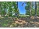Large backyard with mature trees, landscaping, and room for outdoor activities at 9526 Greyson Ridge Dr, Charlotte, NC 28277