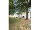 An expansive backyard view showcasing green grass, mature trees and the rear of the homes at 3527 Creeping Flora Ln, Charlotte, NC 28216