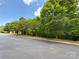 Scenic street with mature trees lining both sides at 3527 Creeping Flora Ln, Charlotte, NC 28216