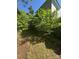 Backyard path of home surrounded by lush greenery and mature trees at 723 Pee Dee Ave, Albemarle, NC 28001