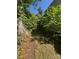 Secluded backyard path surrounded by lush greenery and mature trees at 723 Pee Dee Ave, Albemarle, NC 28001