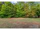 Backyard with lush green trees and grass at 7616 Monarch Birch Ln, Charlotte, NC 28215