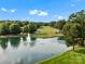 Scenic pond with a fountain and ducks swimming, surrounded by lush greenery and walking path at 7906 Skye Lochs Dr, Waxhaw, NC 28173