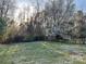 Expansive backyard featuring a mature tree, grassy area, and a privacy fence creating an outdoor retreat at 8809 Reedy Creek Rd, Charlotte, NC 28215