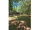 Scenic backyard with mature trees and natural landscape at 10624 Wood Meadow Dr, Charlotte, NC 28227