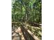 Enjoy the serene backyard view from the wooden deck with natural landscaping at 10624 Wood Meadow Dr, Charlotte, NC 28227