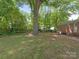 Large, shady backyard featuring mature trees and ample space for outdoor enjoyment at 1100 Clawson Ct, Charlotte, NC 28209