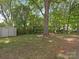 Spacious backyard with lush greenery and storage shed, perfect for outdoor activities at 1100 Clawson Ct, Charlotte, NC 28209