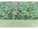 Lush backyard featuring mature trees and a well-maintained lawn, providing a private and serene setting at 119 Marietta Rd, Mooresville, NC 28117