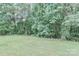 View of the backyard with mature trees and well-maintained lawn providing a serene setting at 119 Marietta Rd, Mooresville, NC 28117