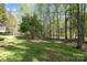 Beautiful backyard with a verdant lawn, mature trees, and privacy at 15324 Yarmouth Rd, Mint Hill, NC 28227