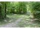 Picturesque nature trail with a picnic table, surrounded by lush greenery and trees at 1916 Pine Mountain Rd, Charlotte, NC 28214