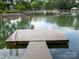 Scenic lake view featuring a private dock with access ladder, perfect for swimming and enjoying the tranquil water at 2054 Hickory Hills Dr, Denver, NC 28037