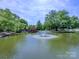 This pond view features a fountain, surrounding trees, foot bridge, and is for sale by canopy 2025 at 2804 Park Rd, Charlotte, NC 28209