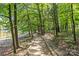 Scenic path alongside the lake, surrounded by lush trees and natural beauty at 907 Lingfield Ln, Waxhaw, NC 28173