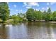 Scenic pond view surrounded by lush greenery and mature trees under a blue sky at 907 Lingfield Ln, Waxhaw, NC 28173