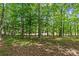 Wooded area with a view of the lake in the distance through the trees at 907 Lingfield Ln, Waxhaw, NC 28173
