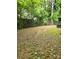 Wide backyard with chain-link fencing and mature shade trees at 11 N 10Th Ave, Maiden, NC 28650