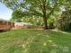 Lush green backyard featuring a large shade tree and plenty of space for recreation and gardening at 1422 Burnley Rd, Charlotte, NC 28210