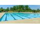 Sparkling community pool, surrounded by lounge chairs, provides residents with a refreshing oasis for relaxation and recreation at 16038 Harbor Hill Dr, Charlotte, NC 28273