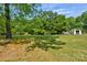 Large, flat backyard with mature trees and shrubs, with a storage building in the distance at 191 Scenic Ne Dr, Concord, NC 28025