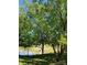 Picturesque pond view with lush greenery and a charming birdhouse creating a serene natural ambiance at 202 Pond View Dr, Salisbury, NC 28147