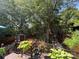 Private backyard with mature trees, a wooden deck with decorative plants, and a storage shed at 2112 Bay St, Charlotte, NC 28205