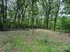 Lush backyard with mature trees and a peaceful setting at 455 Running Brook Rd, Midland, NC 28107