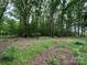 A wooded homesite with mature trees offers privacy and a serene natural setting at 455 Running Brook Rd, Midland, NC 28107