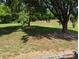 Large backyard with lush green trees providing ample shade at 5908 Tanson Trl, Marshville, NC 28103