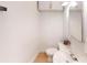 Bathroom features a toilet and sink with a mirror and overhead cabinet at 600 E 35Th St, Charlotte, NC 28205