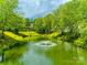 Scenic pond with a fountain, surrounded by lush greenery at 975 Copperstone Ln, Fort Mill, SC 29708