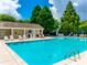 Community pool featuring plenty of seating, umbrellas, and well-maintained landscaping at 975 Copperstone Ln, Fort Mill, SC 29708