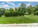 Serene backyard with well-maintained lawn and lush green trees, offering a peaceful outdoor space at 2026 Harvest Ln, Charlotte, NC 28210