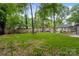 Expansive green backyard with mature trees and landscaping, offering ample space for recreation and relaxation at 3538 Denson Pl, Charlotte, NC 28215