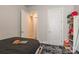 This bedroom features a shag rug, closet shelving, and two entry doors at 8008 Brookbank Dr, Charlotte, NC 28269